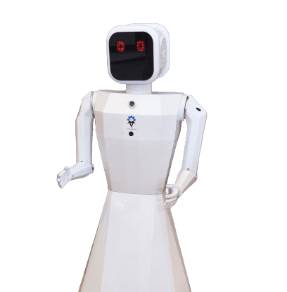 AI INTELLIGENT HUMANOID - NILA ROBOT