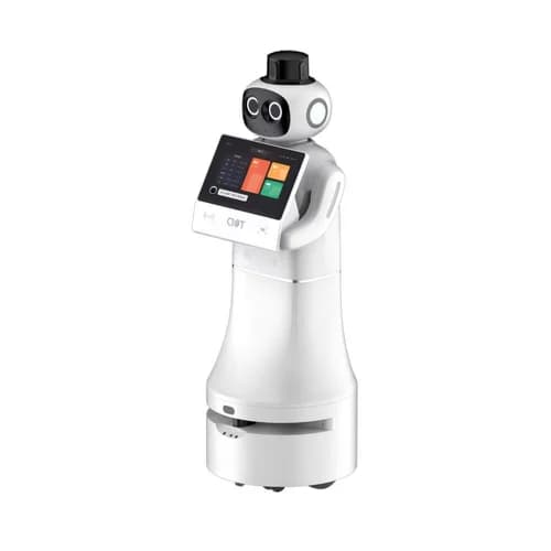 Intelligent Humanoid Robot - Front Office